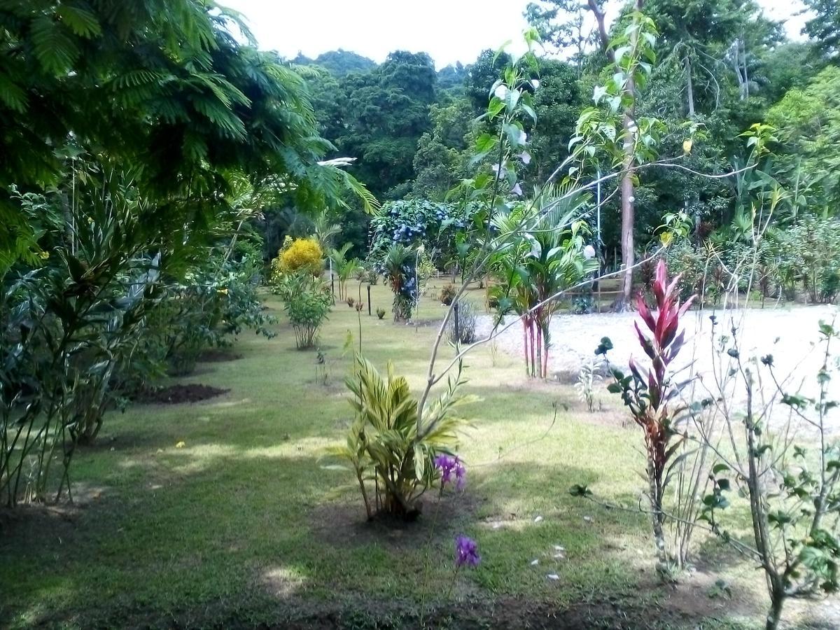 Puerto Vargas Lodge كويتا المظهر الخارجي الصورة