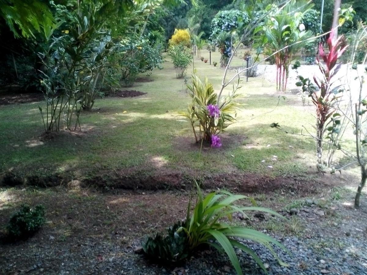 Puerto Vargas Lodge كويتا المظهر الخارجي الصورة